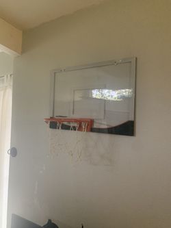 Silverback 23 x 36 backboard