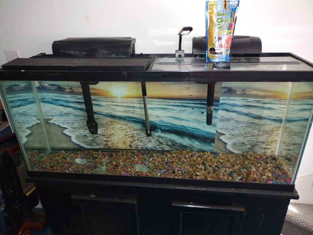 Fish Tank 