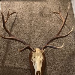 Antlers