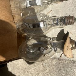 Various Light Bulbs
