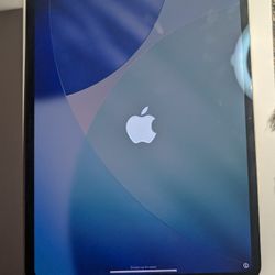 Apple Ipad Pro 13" M4 Chip 256GB Wi-Fi A2925 3M780LL/A Space Black - Read Description Plz