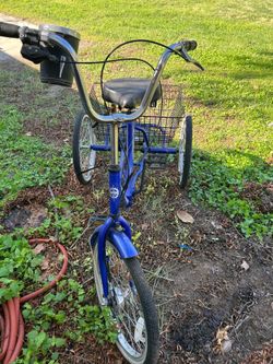 Adult tricycle