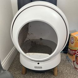 Self Cleaning Litter Box 