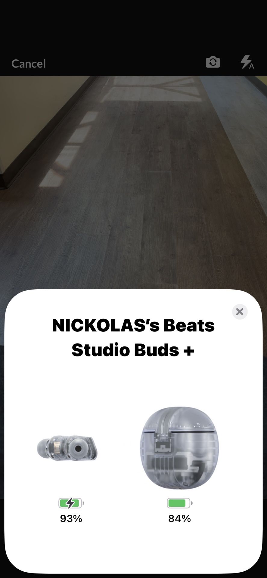 Beats Pro Studio Earbuds