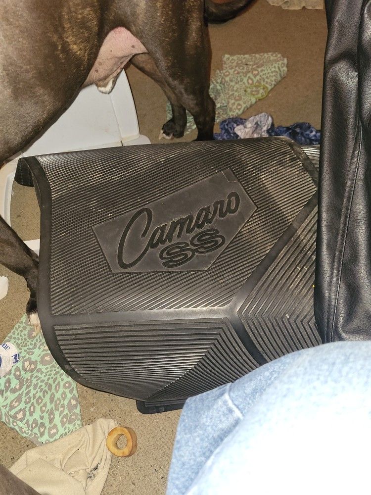 69 To 72 Camaro Ss Floor Mats All Four