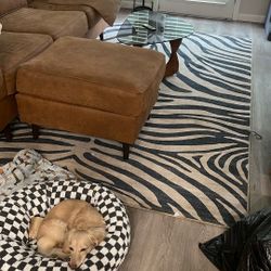 Zebra Rug