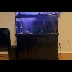 Fish tank