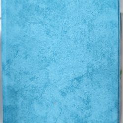 Kindle Paperwhite Case 2021