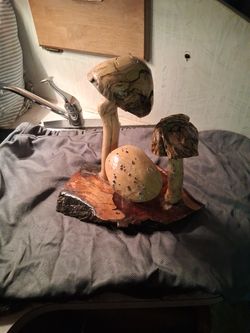 Mushroom Arrangement