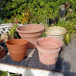 Houseplant Pots Large Selection