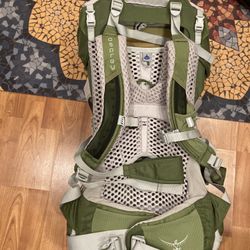 Osprey Hiking Carrier