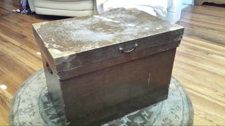 Insulated trunk/cooler