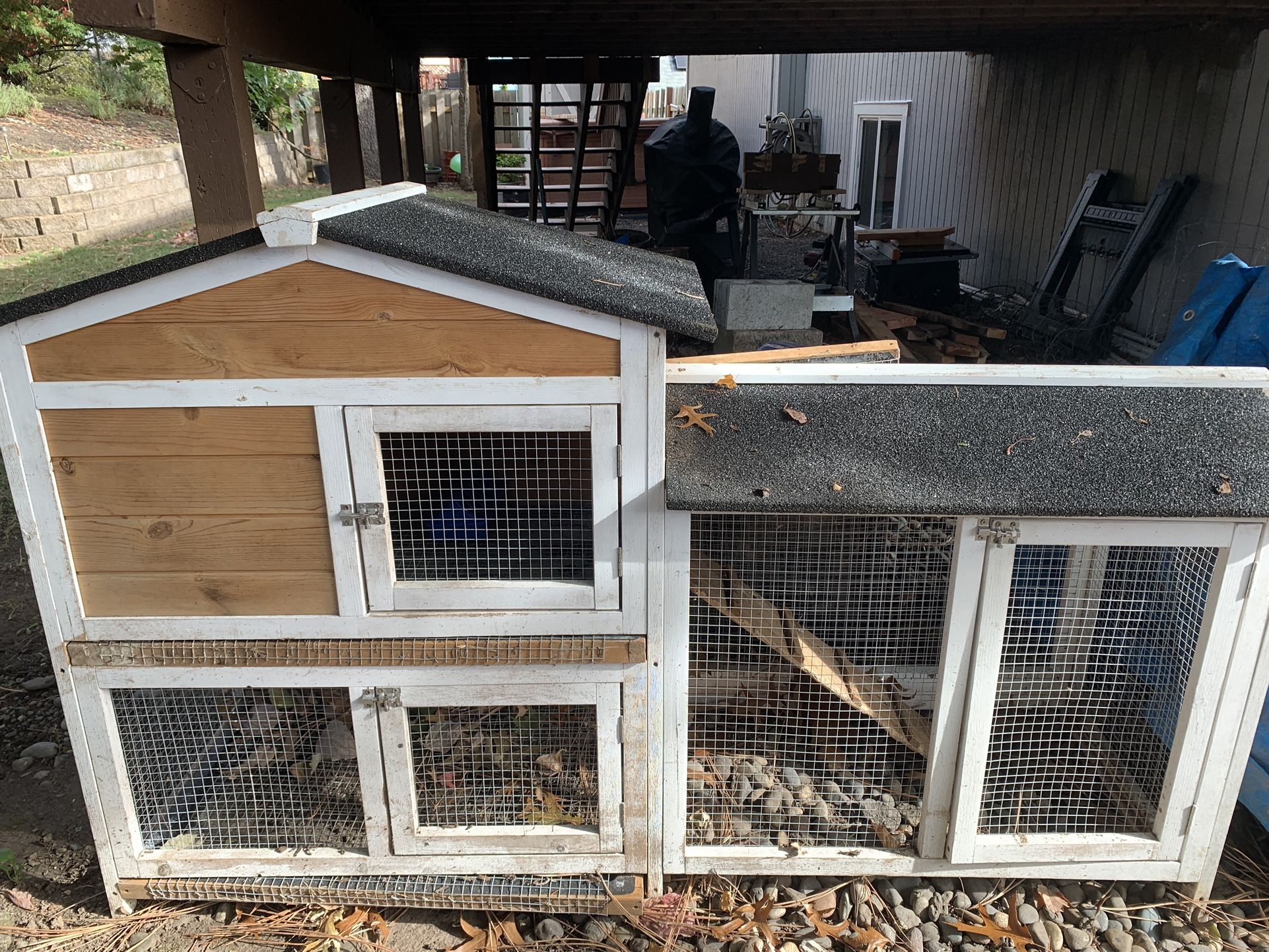 Chicken Coup