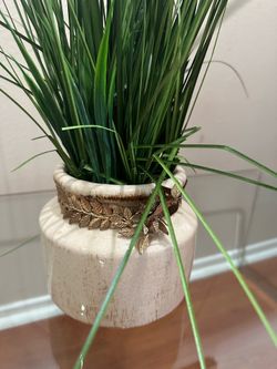 Decorative flower in a pot apartment Home decor Office decoration