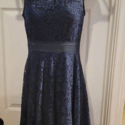 pinup Dress Large New 