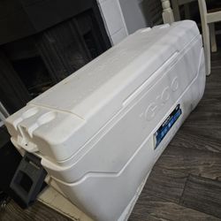 Igloo Cooler