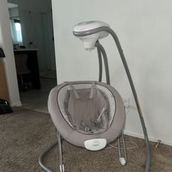 Graco Baby Swing/Bouncer 