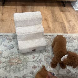 Pet Stairs