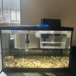 Aquarium + Filter + Heater + Fry Box 