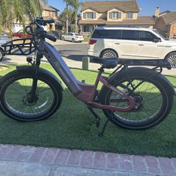 Freedare Eden E Bike