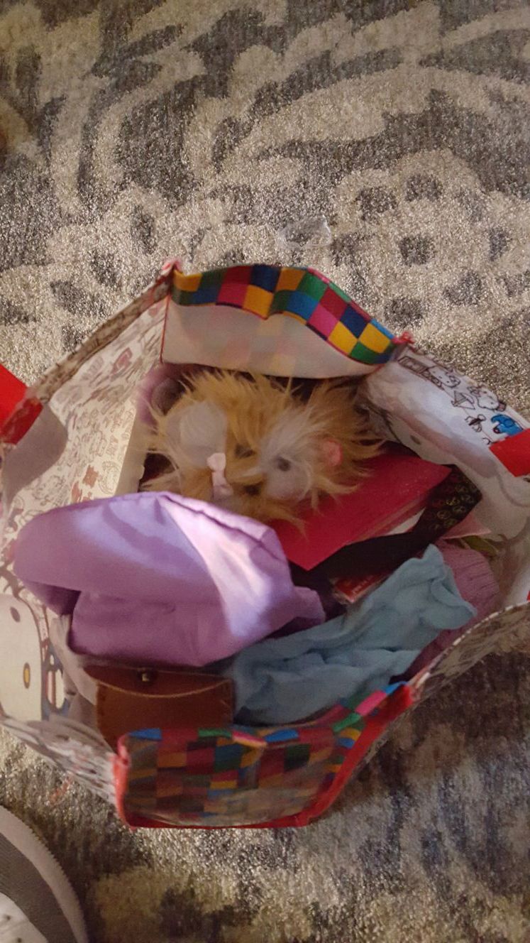 American girl doll stuff