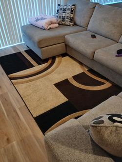 Professional Shop Vac, Large Area rug