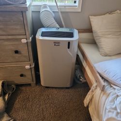 DeLonghi Pinguino Air Conditioner A/C Costco