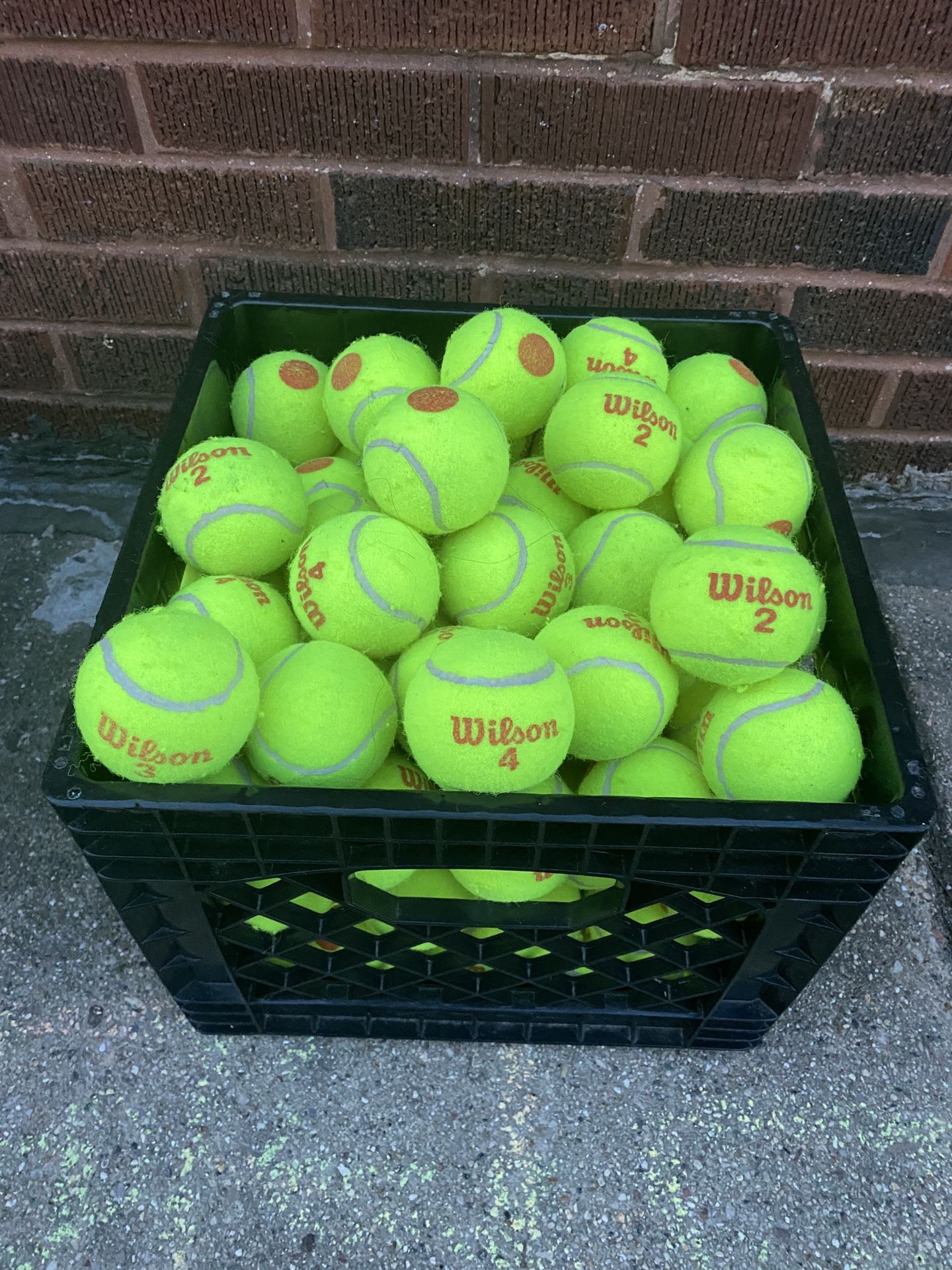 120 - Wilson Stage 2 🔴 Tennis Balls