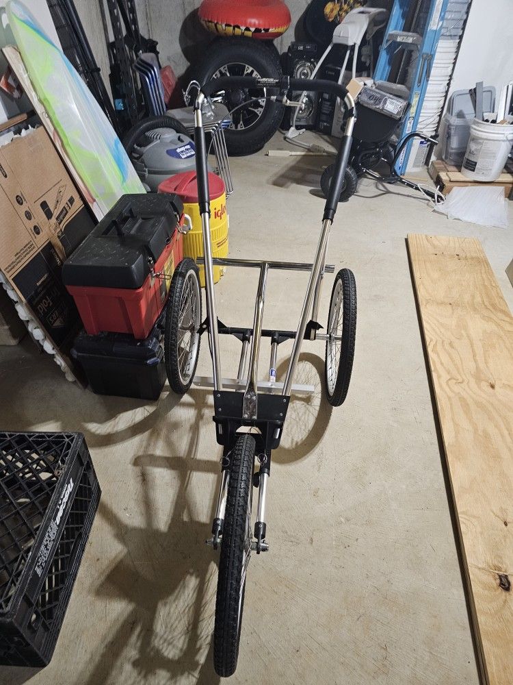 Bike Carrage As Is Great Condition Don't Need