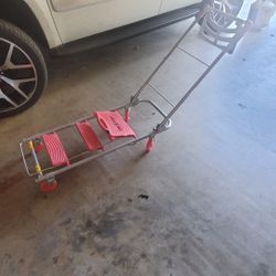 Dolly  Cart Ladder