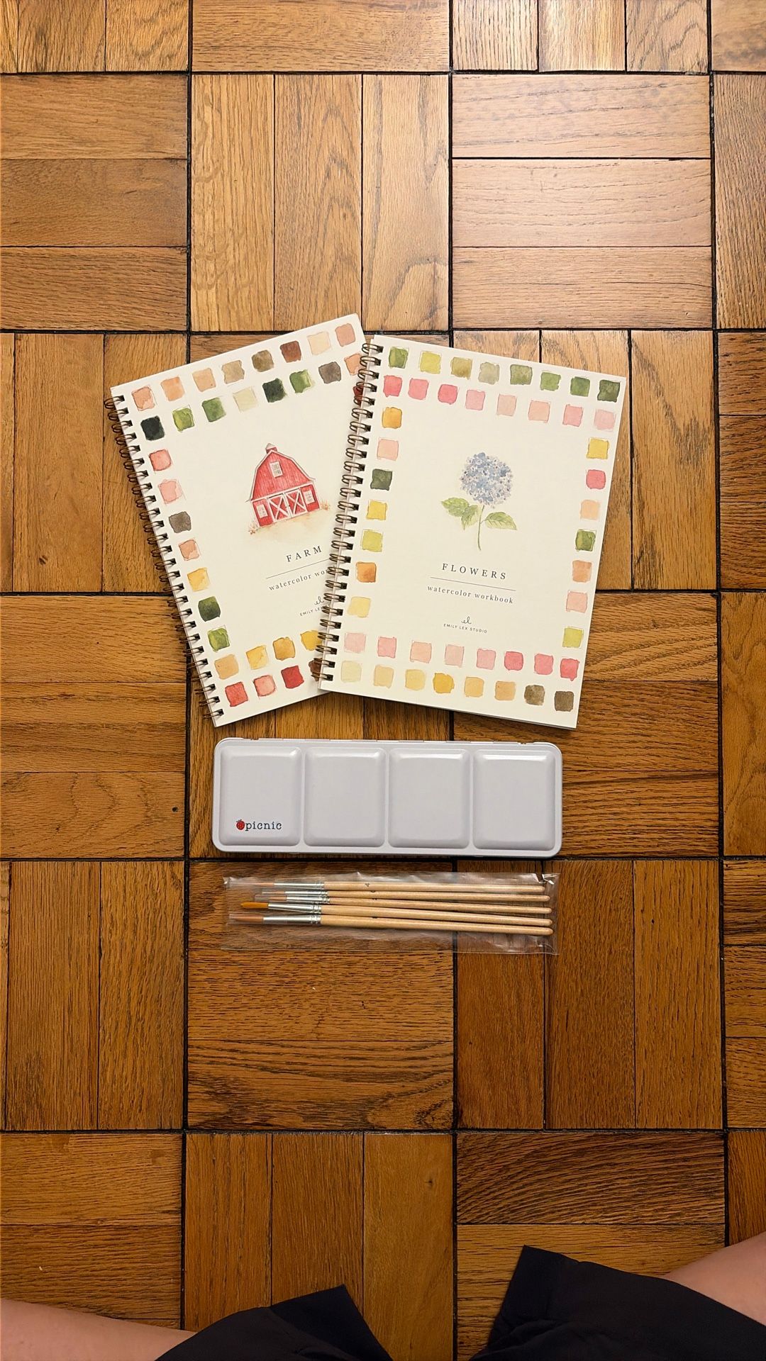 Painting Kit-2 Watercolor Books, 24 Watercolors, 5 Brushes