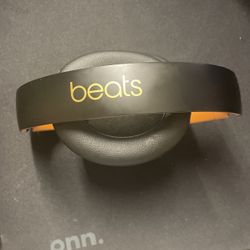 Bears Studio 3