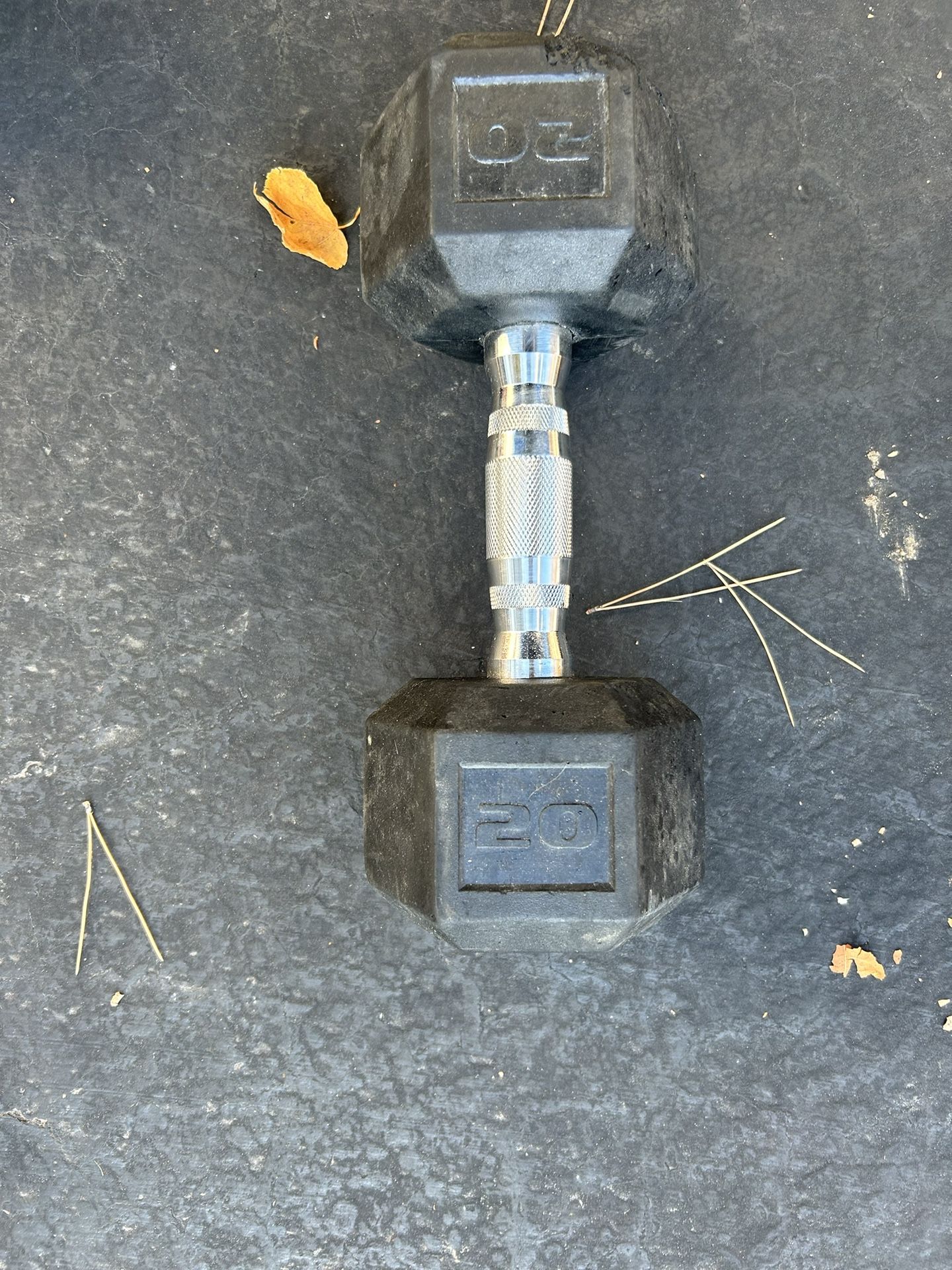 20 Pound Dumbbell