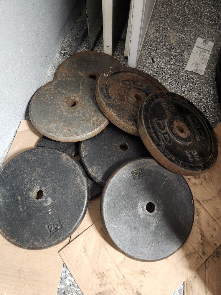 Gym Weights $40 Pair