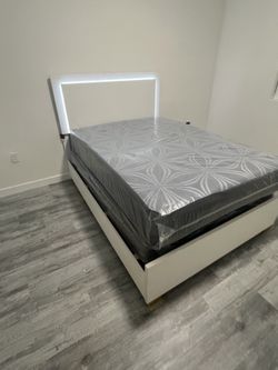 WHITE & GOLD BED w/ LED’s 🛏️