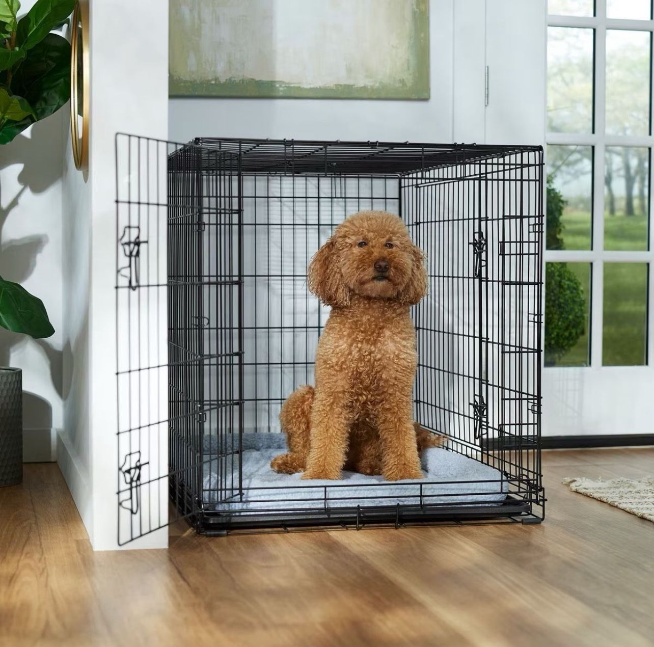 Golden Doodle Crate