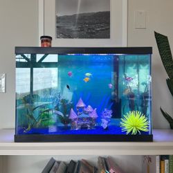 Glow Fish And Tank