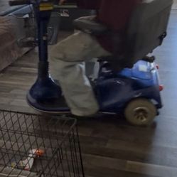 Golden Companion Scooter