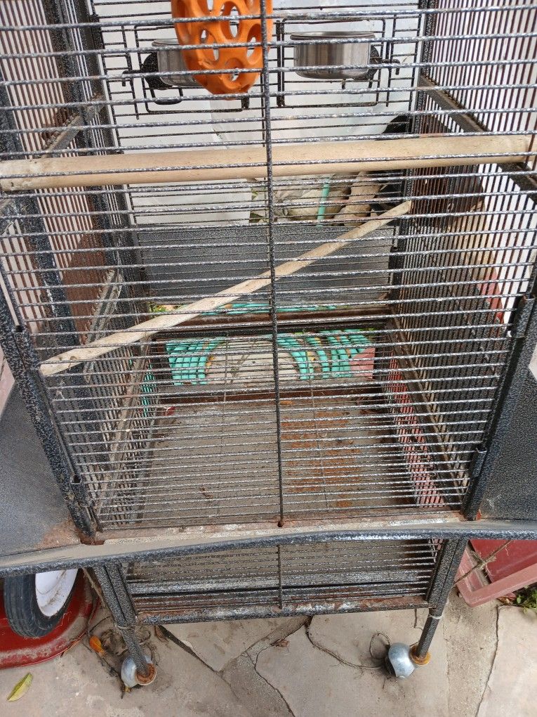 Large Bird Cage, Obo