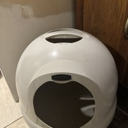 2 Free Litter Boxes
