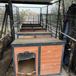 Dog House