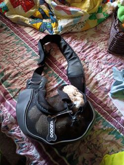 Small doggie Carrier brand new