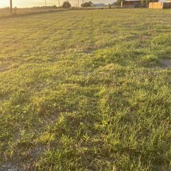se cortan yardas bara bara alrededores de ferris de tres aces para abajo