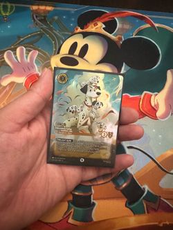 Pongo enchanted