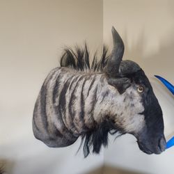 Africa mount Collection -Namibia 