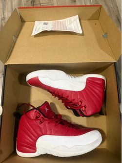 Air Jordan 12 retro