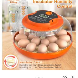 Incubadora De Huevos 