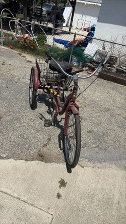 Scwhinn Trike