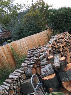 Firewood oak eucalyptus fir and cedar
