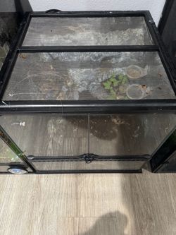 Bioactive tank